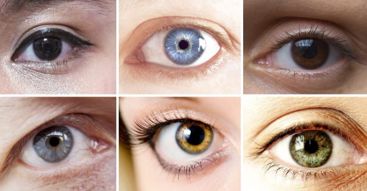 couleur des yeux