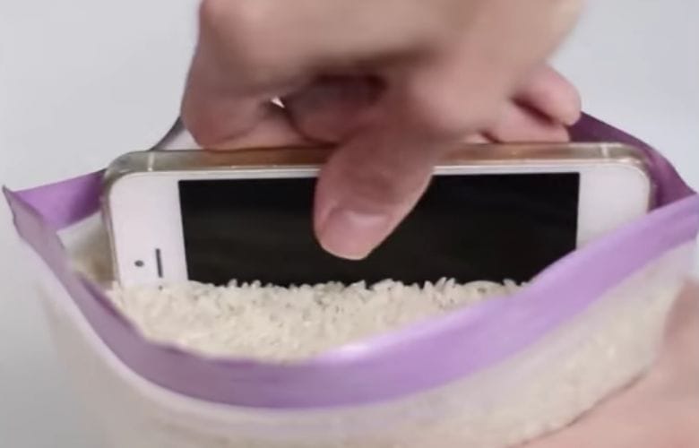 riz2