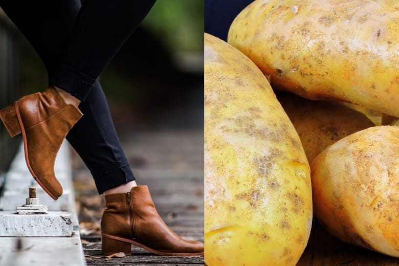 pomme de terre