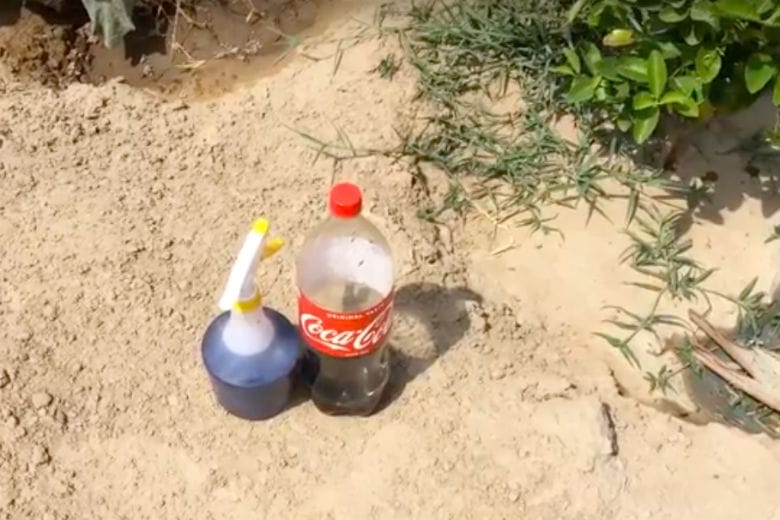 coca
